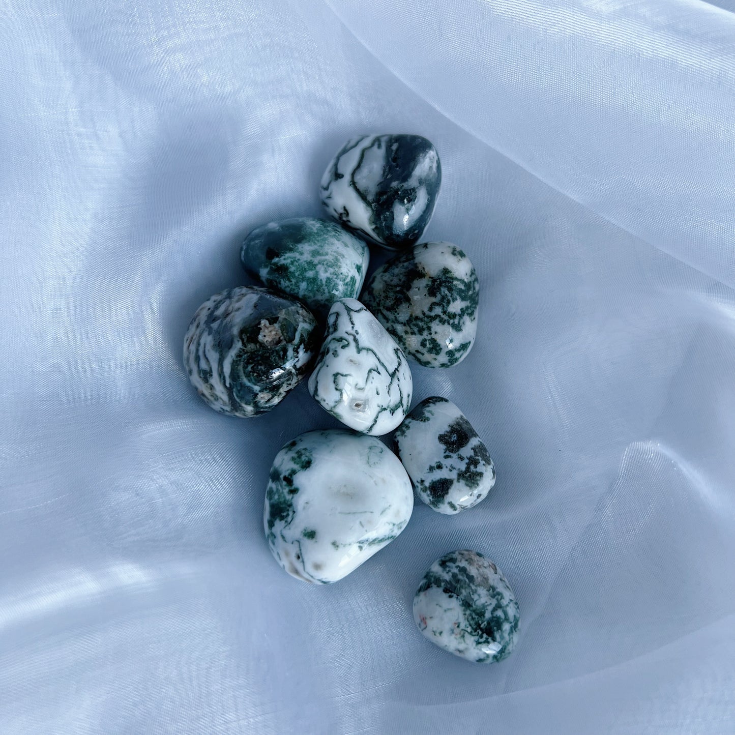 Boomagaat - trommelsteen