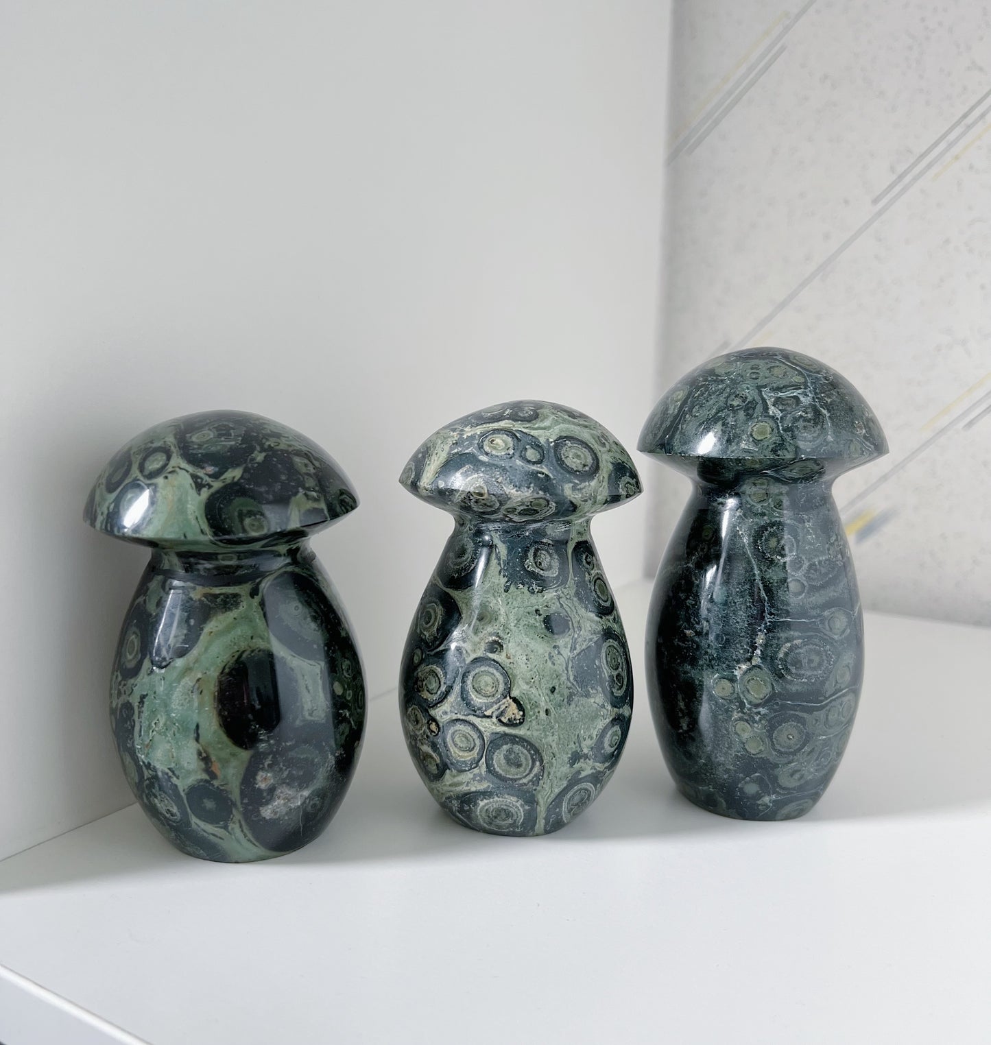 Kambaba jaspis - paddenstoel