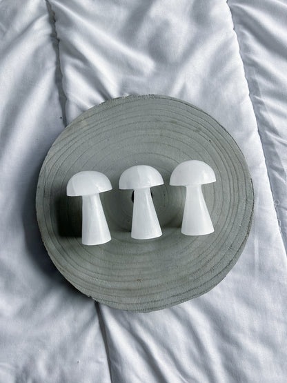 Seleniet paddenstoel