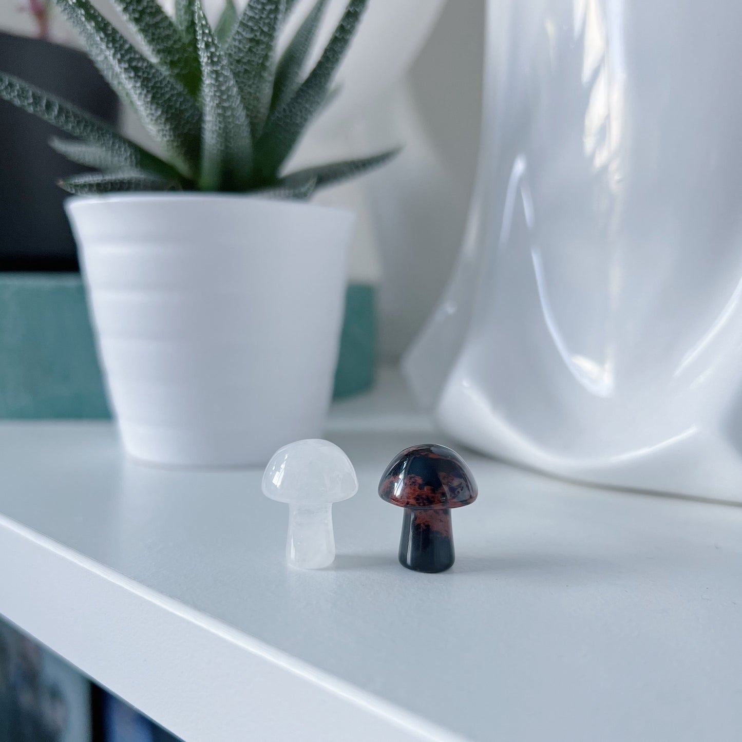 Mahonie Obsidiaan paddenstoel