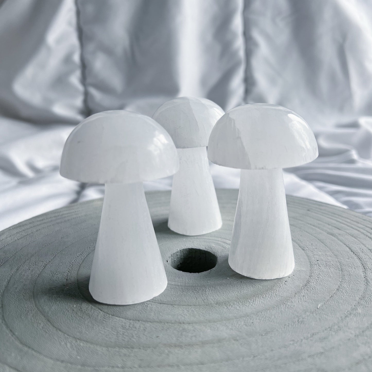 Seleniet paddenstoel