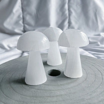 Seleniet paddenstoel