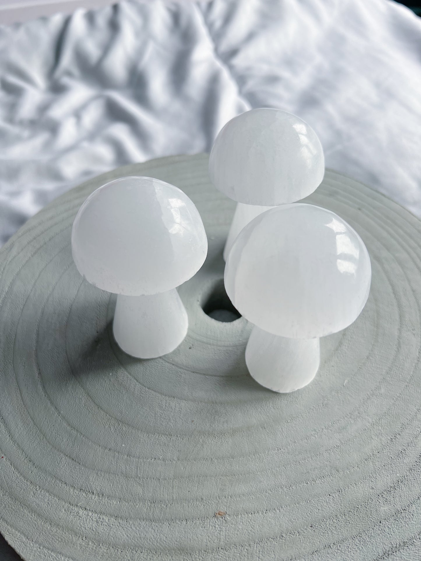 Seleniet paddenstoel