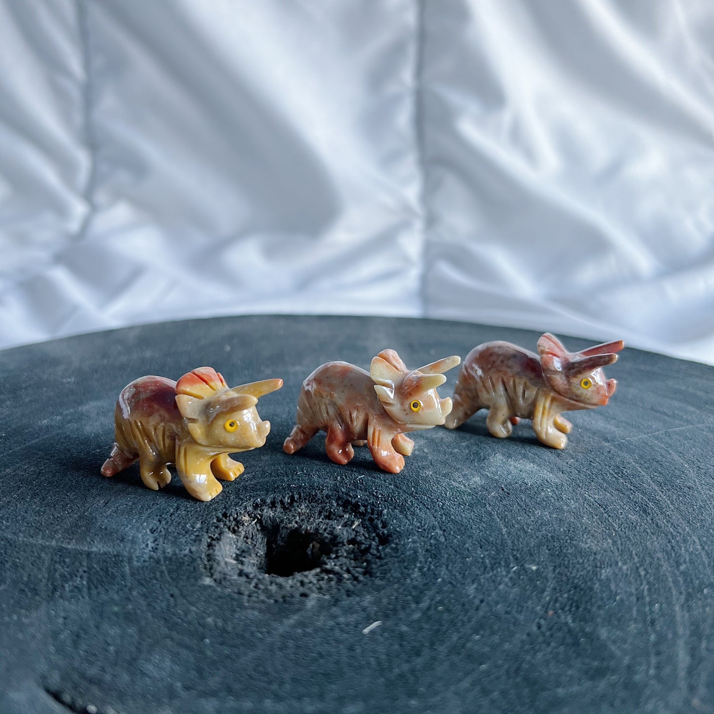 Dinosaurus - triceratops