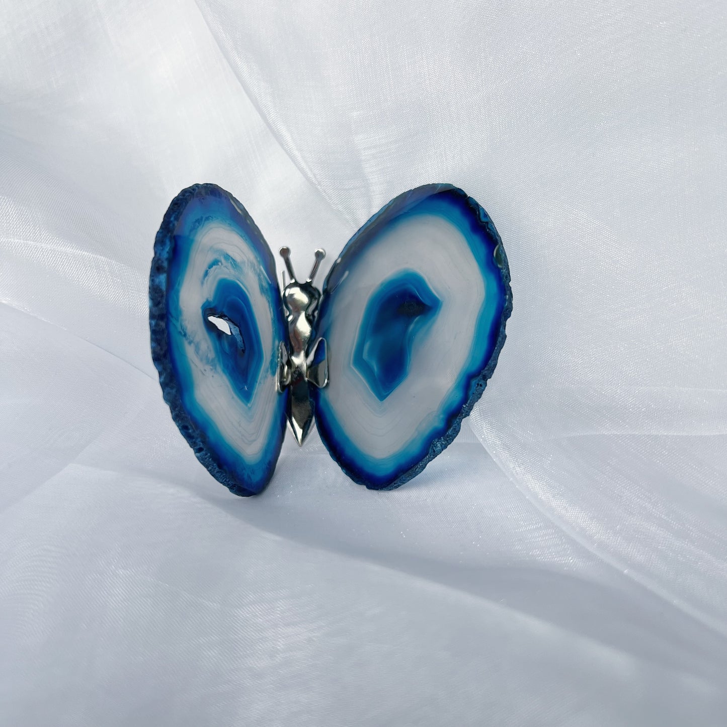 Agaat vlinder blauw