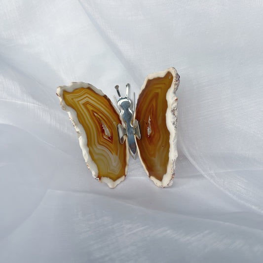 Agaat vlinder - naturel 1