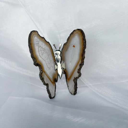 Agaat vlinder - naturel 4