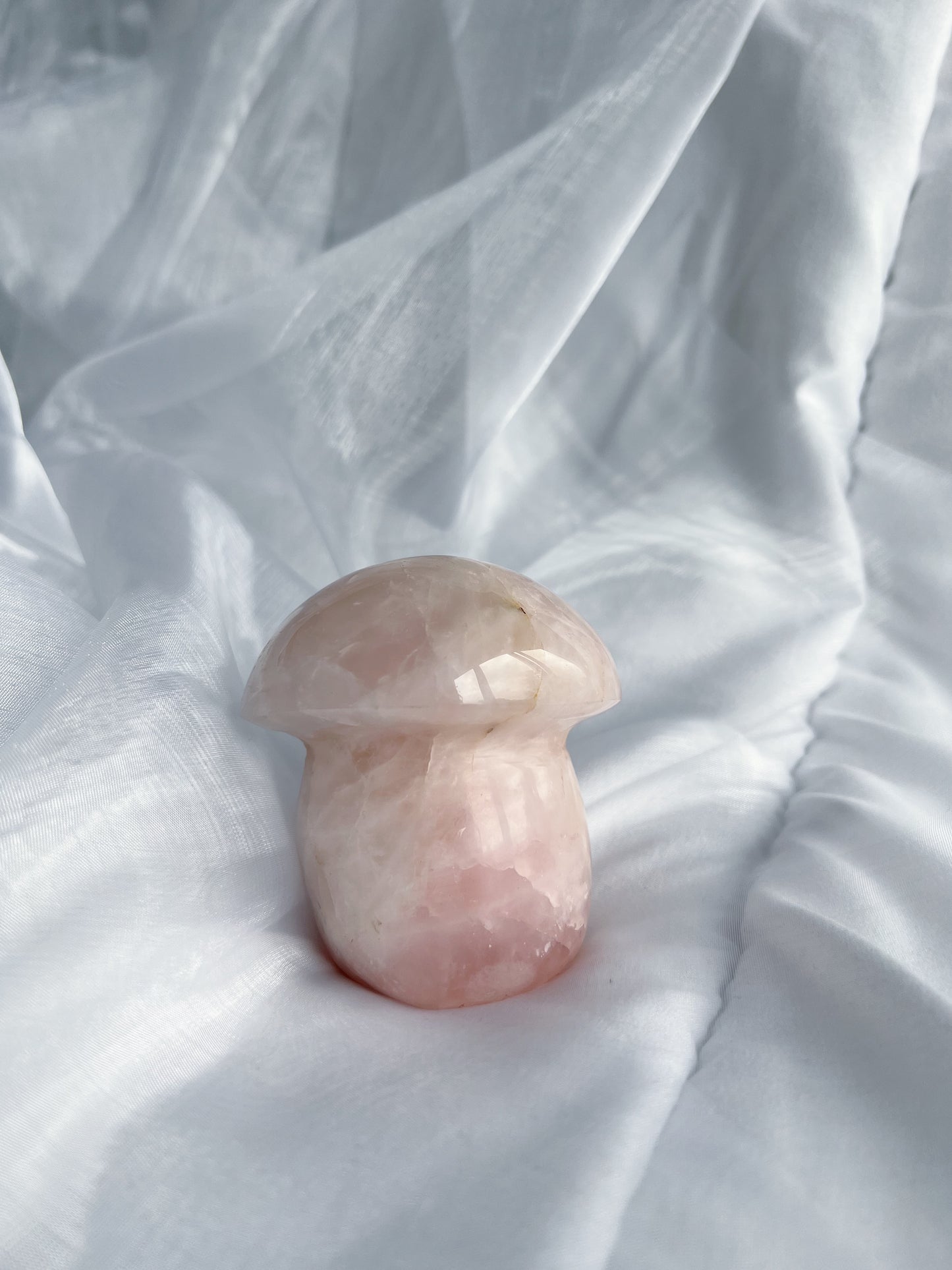 Rozenkwarts paddenstoel