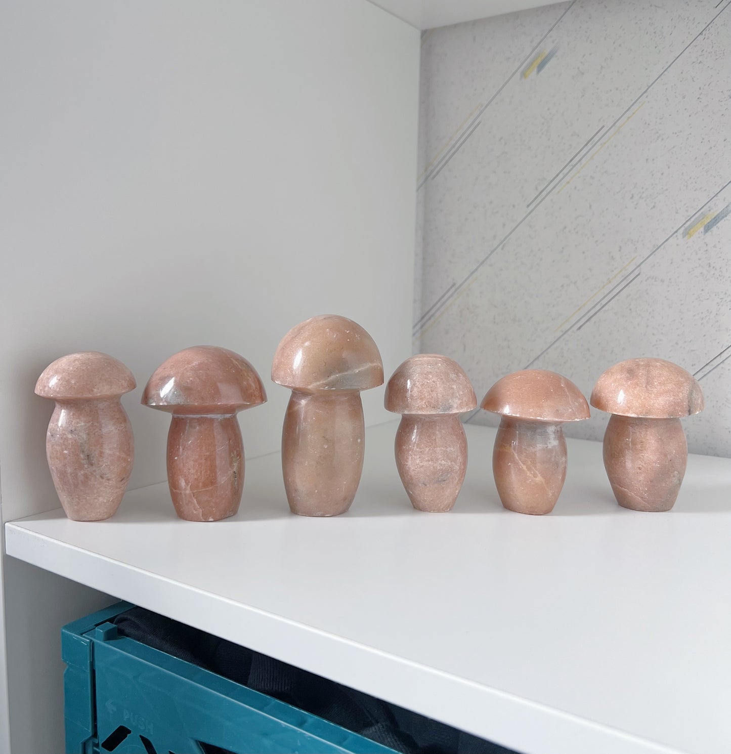 Oranje maansteen - paddenstoel